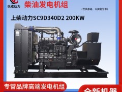 200KW柴油發電機組上柴動力SC9D340D2機組視頻