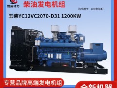 1200KW玉柴柴油發電組-YC12VC2070-D31視頻